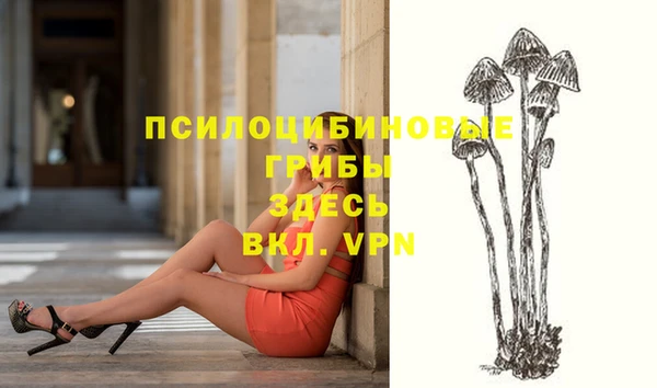 прущая мука Беломорск