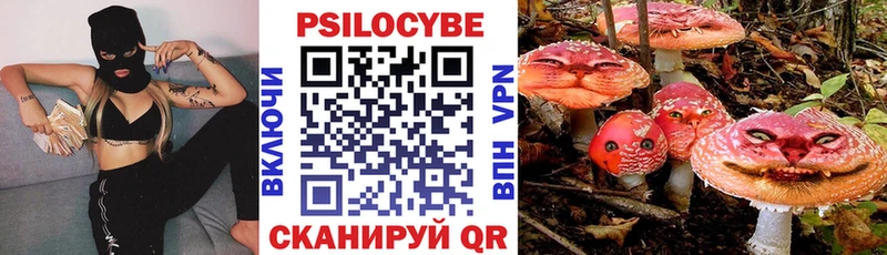Купить Данков Галлюциногенные грибы GOLDEN TEACHER